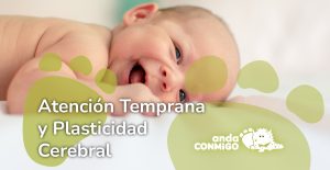 Atención Temprana y Plasticidad Cerebral
