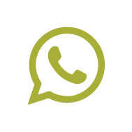 Icono whatsapp