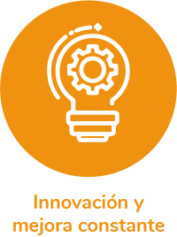 Innovacion constante