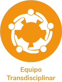 equipo transdisciplinar