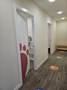 anda-CONMiGO-pasillo