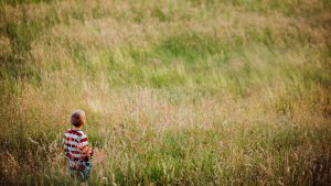 TDA todo lo que necesitas Saber